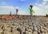 India’s ‘second summer’ is here: Large parts of country see above-normal heat