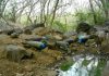 Pune: Cameras see activity near Maval watering holes; forest dept plans recharge from Feb, two months early