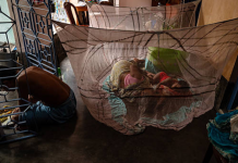 Since 2004, Bill Gates has sent millions of anti-malaria nets to Africa, but the donated gear has been devastating local waters for years