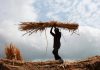 More Maharashtra talukas now show shrinking groundwater, soil moisture falls too