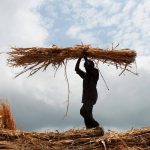 More Maharashtra talukas now show shrinking groundwater, soil moisture falls too