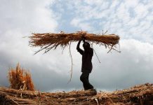 More Maharashtra talukas now show shrinking groundwater, soil moisture falls too