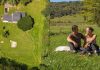 Backyard Transformation: Virginia couple spent $900 transforming their overgrown one-acre backyard into a miniature state park: Their budget-friendly garden makeover is attracting butterflies, hummingbirds and other wildlife, proving that a beautiful backyard need not cost a fortune |