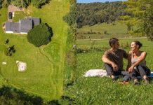 Backyard Transformation: Virginia couple spent $900 transforming their overgrown one-acre backyard into a miniature state park: Their budget-friendly garden makeover is attracting butterflies, hummingbirds and other wildlife, proving that a beautiful backyard need not cost a fortune |