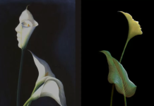 What you see first reveals if you are sensitive or superficial