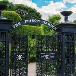 Alnwick Poison Garden: Inside England’s Alnwick Poison Garden, hundreds of dangerous plants grow behind locked gates, and visitors are warned not to touch, smell or taste them
