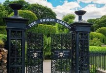 Alnwick Poison Garden: Inside England’s Alnwick Poison Garden, hundreds of dangerous plants grow behind locked gates, and visitors are warned not to touch, smell or taste them
