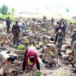 As drought grips Marathwada, territorial Army builds water security through ecological restoration