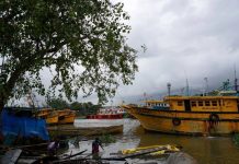 Cyclone Arnab: 2 dead, over 50 trains, several flights cancelled; Andhra, Odisha worst-hit